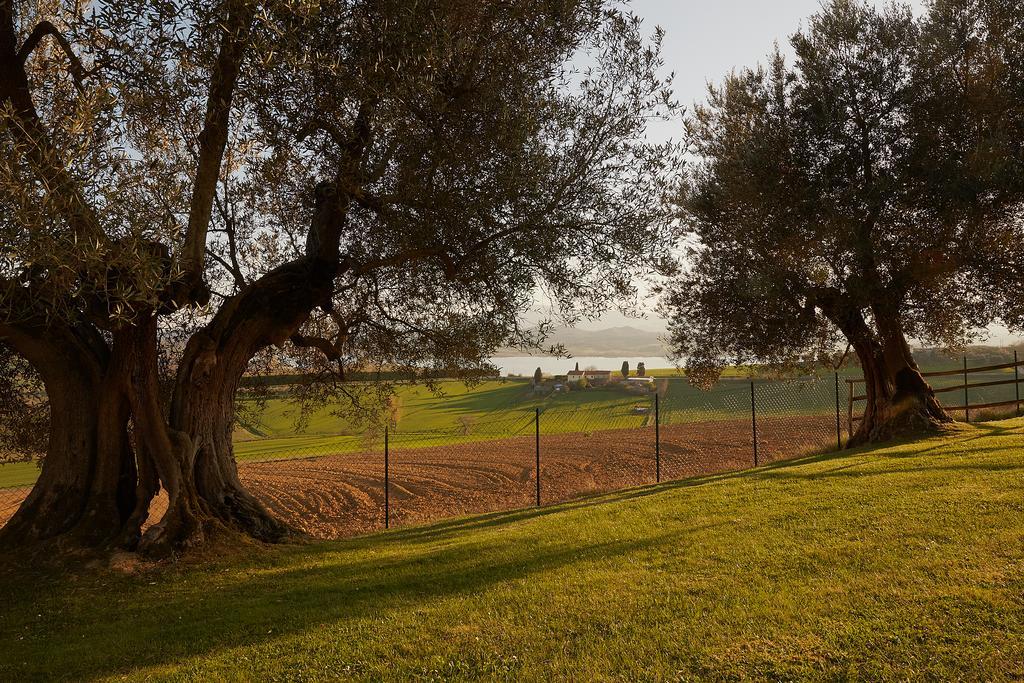 Podere Fontegallo Castiglione del Lago Exterior photo