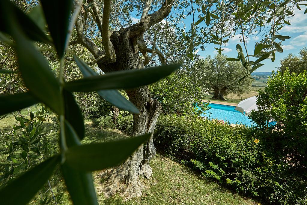 Podere Fontegallo Castiglione del Lago Exterior photo